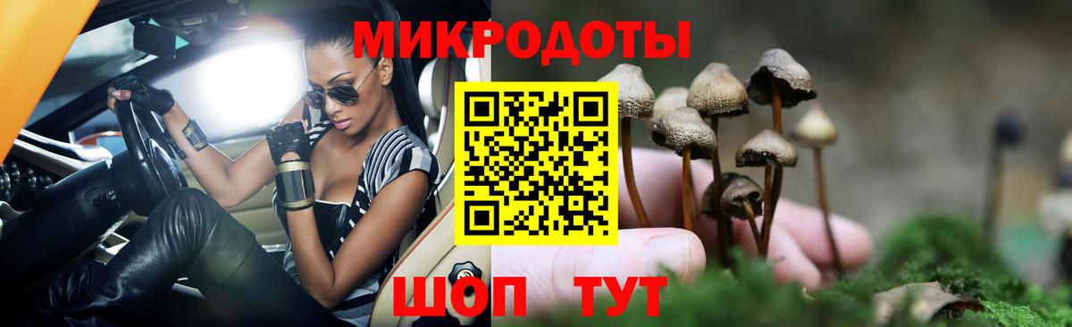 Дзержинский  Псилоцибиновые грибы мухоморы  магазин продажи наркотиков  Вход с VPN 